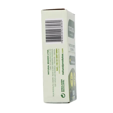 Palito dental natural bambu 100un 360-10