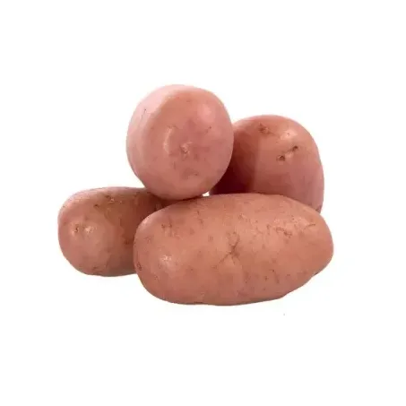 BATATA ASTERIX KG