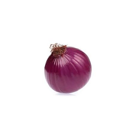 CEBOLA ROXA KG