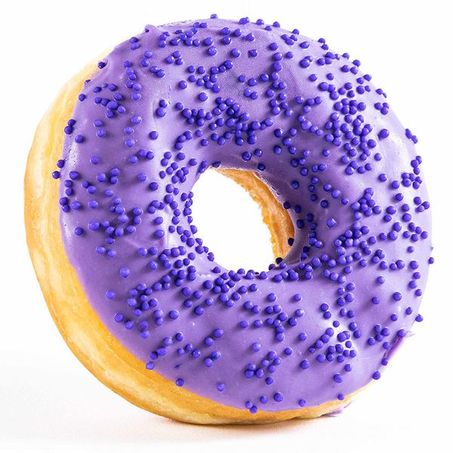 Donuts blueberry santa terezinha 75g