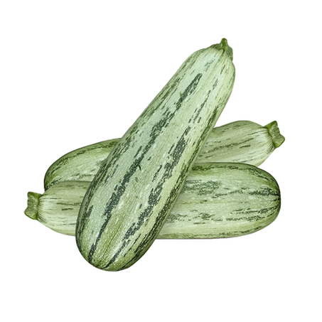 ABOBRINHA ITALIANA RAJADA KG