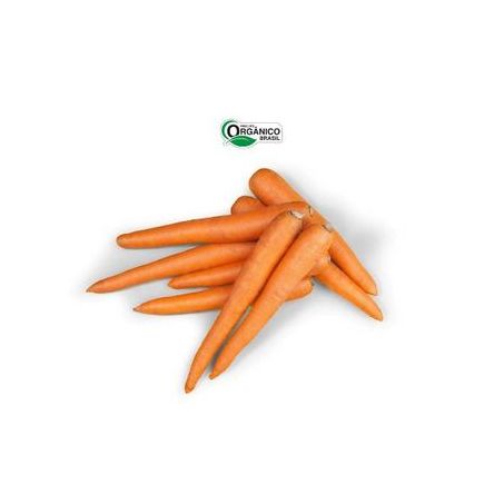 Cenoura Orgânico Amanha 500G