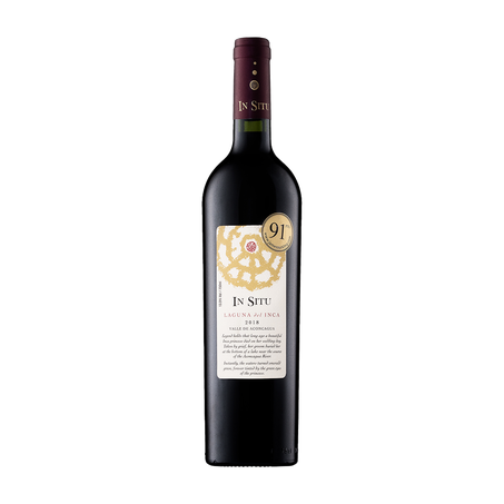 Vinho San Esteban In Situ 750ml