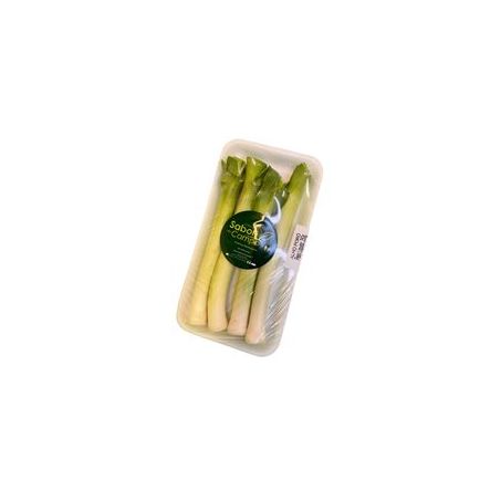 Sabor Campo Alho Poro 250g Bandeja