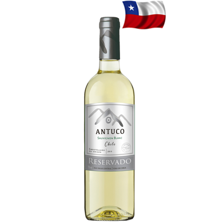 VINHO ANTUCO SAUVIGNON BLANC CHILE 750ML