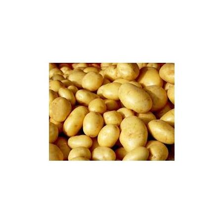 BATATA KG