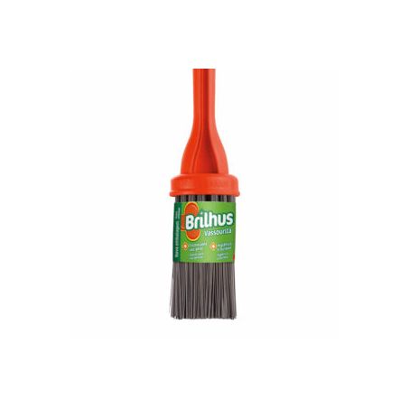 Escova sanit vassourita brilhus