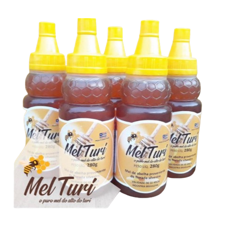 Mel de abelha turi 280g