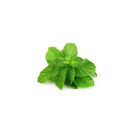 HORTELA UN 