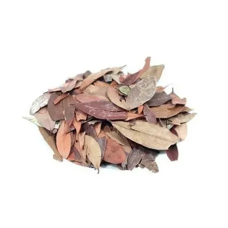 INSULINA FOLHAS 100G