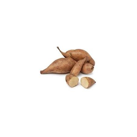 BATATA YACON ORGANICA 500G