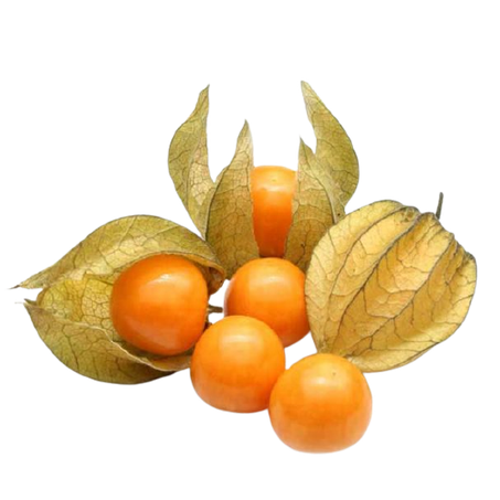 Physalis 100g
