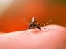 Casos de Dengue registram novo aumento significativo em Itapiranga
