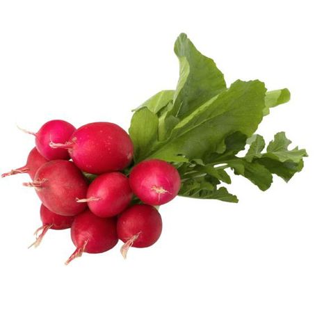 Horti rabanete maço
