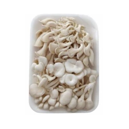 Cogumelo Shimeji Branco 200g Takoish