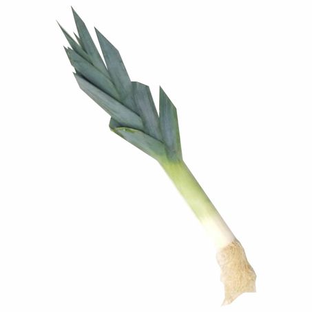 ALHO PORO  UN