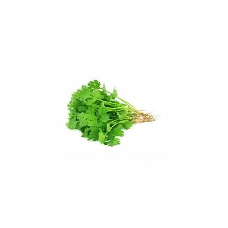 SALSA WALKER HIDROPONICO 150G