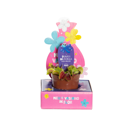 Planta Carnívora Dionea Kids P9