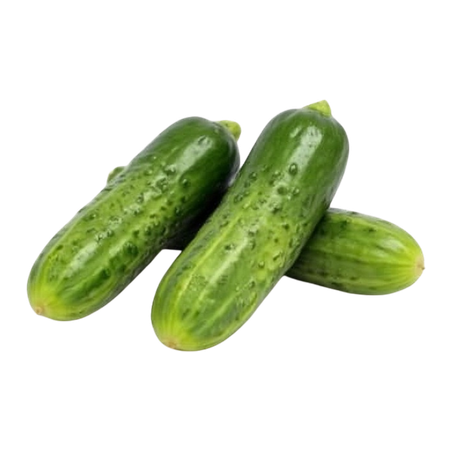 Pepino para conserva kg