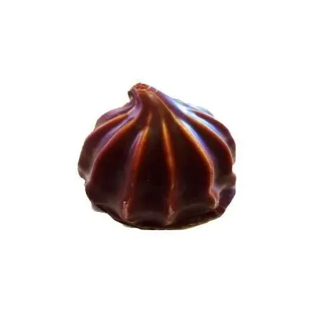MARIA MOLE C/CHOC.MICHELLE 100G