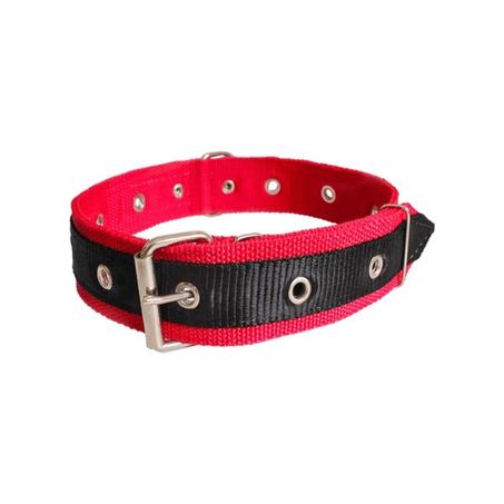 Coleira Pet Mania Nylon Reforçado Fita Dupla N6 1 Unidade