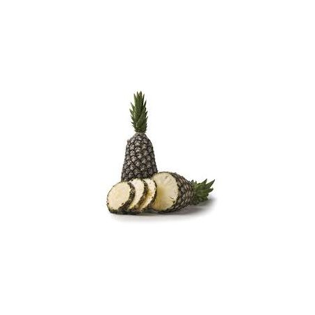 ABACAXI PEROLA UND