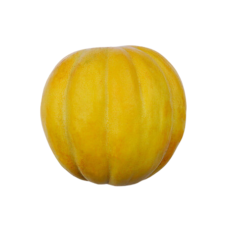 MELAO GAUCHO KG