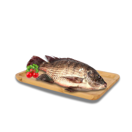 Tilápia Limpa Kg