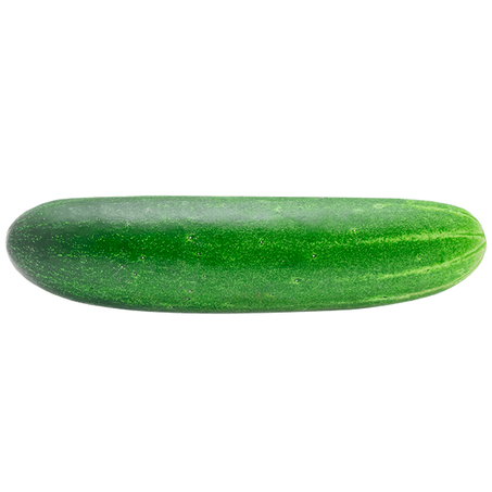 PEPINO COMUM