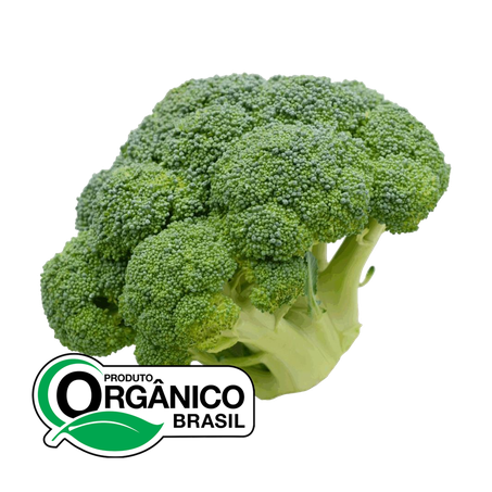 Brócolis Recanto da Natureza Orgânico 250g