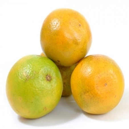 LARANJA DO CÉU KG