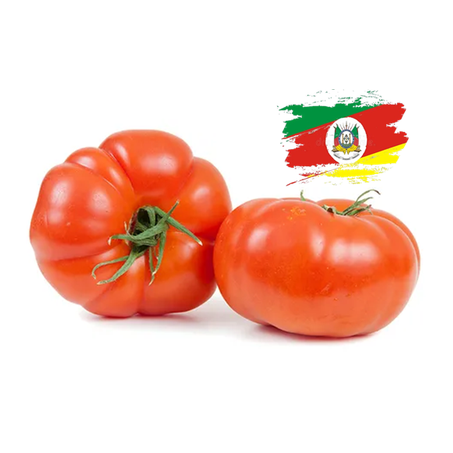 TOMATE GAÚCHO KG