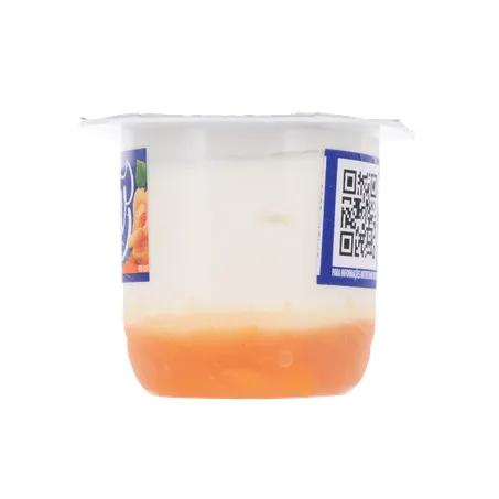 Sobremesa Nuv Batavo 100g - Quark - Damasco 360-1