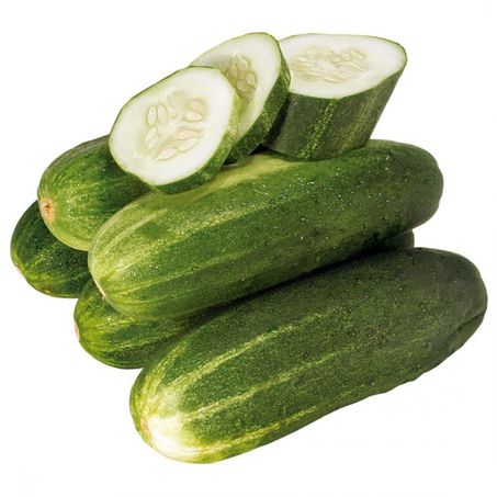 PEPINO SALADA KG