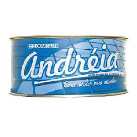 CERA EM PASTA ANDREIA INCOLOR 400G