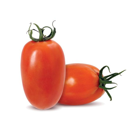 TOMATE ITALIANO KG