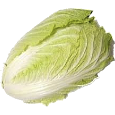 Acelga und