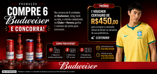 BANNER E-COMMERCE 504 x 240 px CAMPANHA BUDWSEISER.png