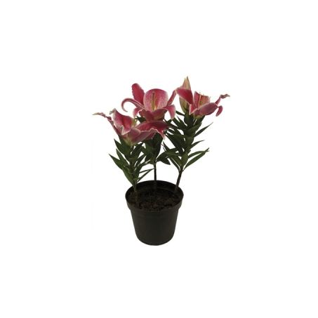 Flor Lirio Rosa P16