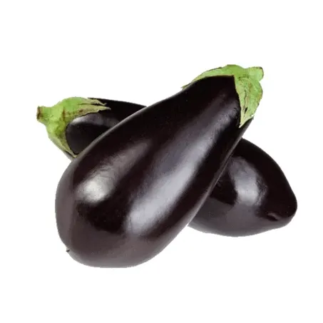 Berinjela Orgânica Coopeg 500g