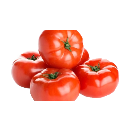 Tomate gaúcho kg
