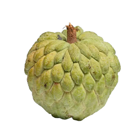 Pinha Unidade