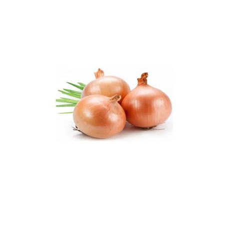 Cebola kg