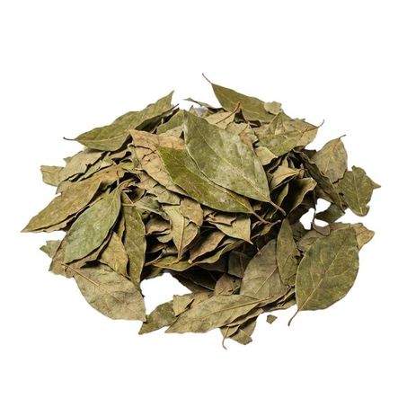 FOLHA DE ABACATEIRO 100G