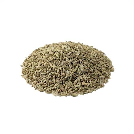 ERVA DOCE 100G