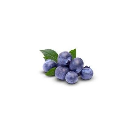 MIRTILO CAORE 500G ORGÂNICO