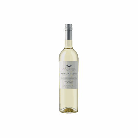 VINHO BRANCO MEIO SECO ALMA ANDINA CHARDONNAY