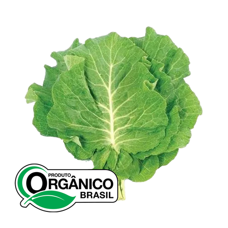 Couve Cheiro Verde Mineira Orgânica 150g