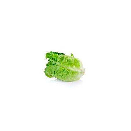 ALFACE MINI ROMANA 180G