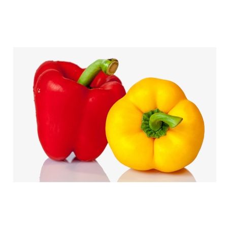 Pimentao amarelo vermelho kg